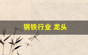 钢铁行业 龙头(钢铁行业龙头股有哪)_https://www.qldgs.com_国际期货_第1张